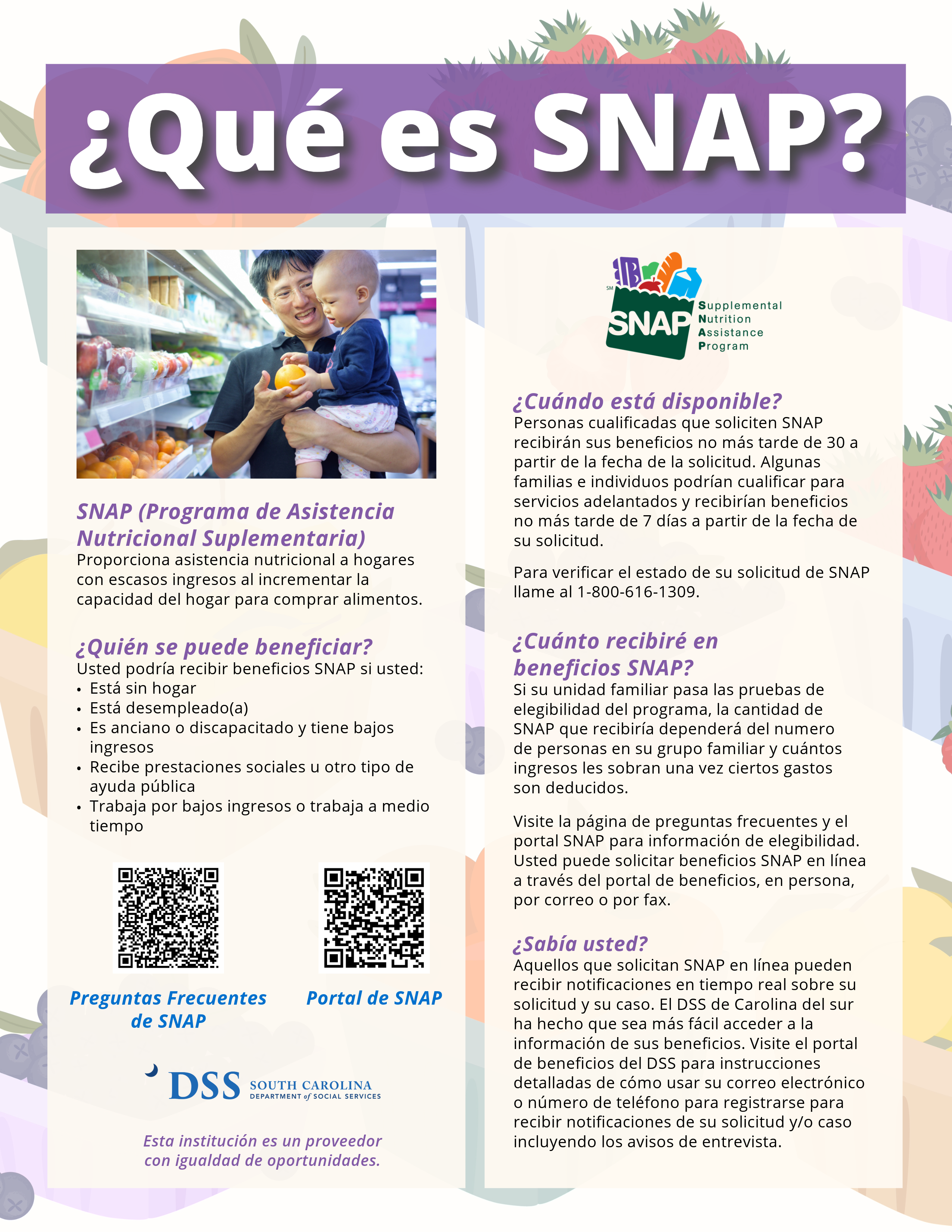 SNAP 1Pager - April 2025 - Spanish.png