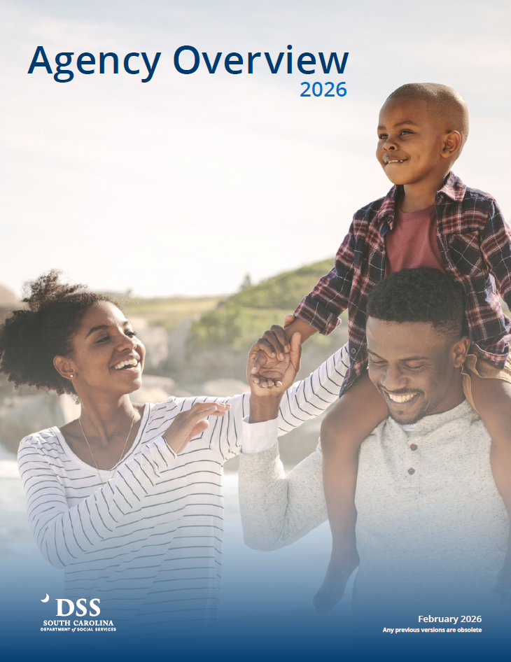 Agency Overview 2026.png