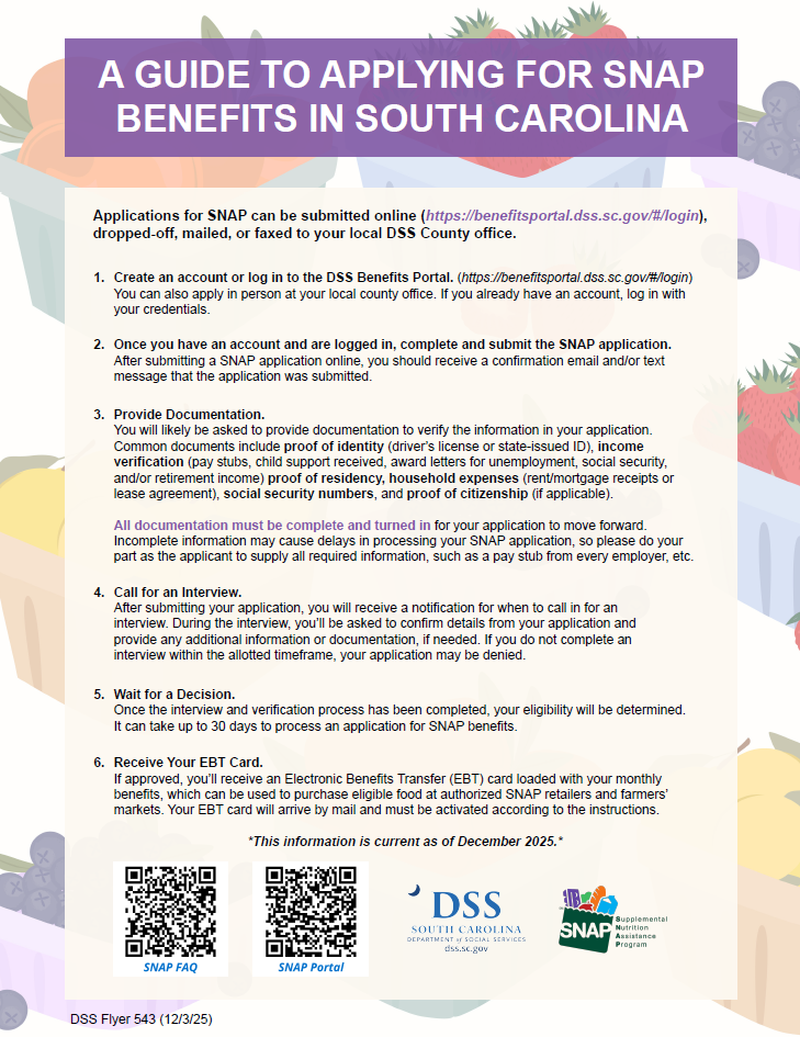 DSS Flyer 543 (12.3.25).png